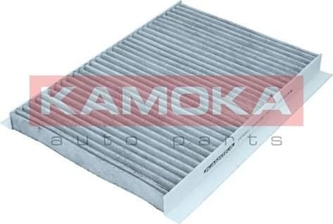 Filter, cabin air F516501