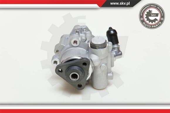 Hydraulic Pump, steering 10SKV049