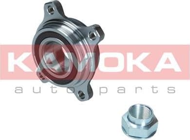 Wheel Bearing Kit 5500160