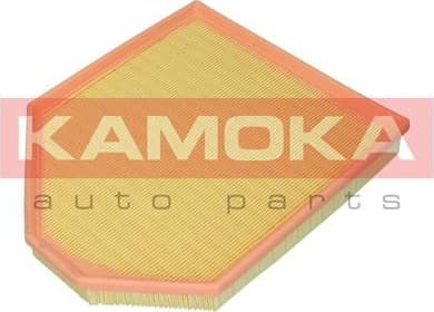 Air Filter F243401