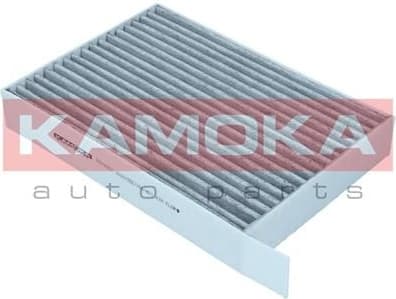 Filter, cabin air F519301