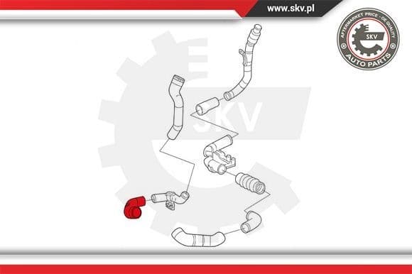 Charge Air Hose 24SKV747 - image 4