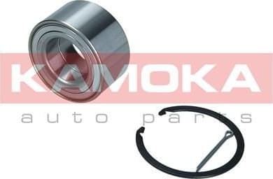 Wheel Bearing Kit 5600164