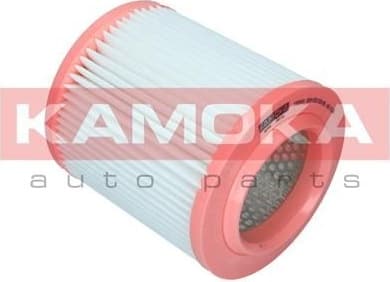 Air Filter F252401