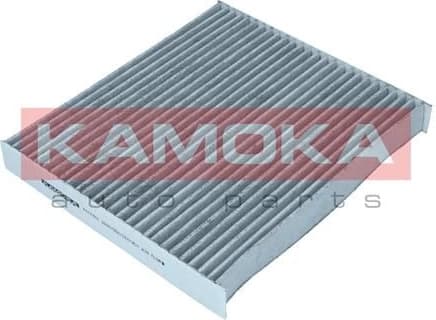 Filter, cabin air F517701 - image 2