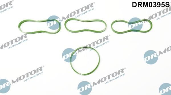 Gasket Set, intake manifold DRM0395S