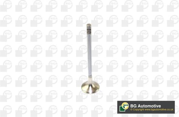 Exhaust Valve V166211