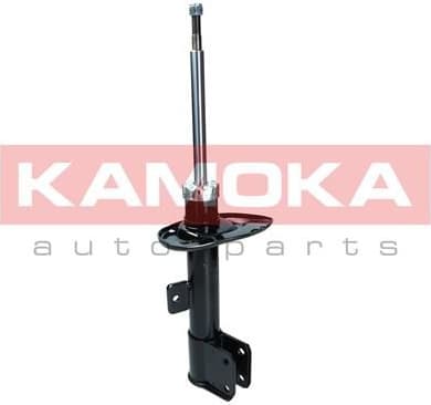 Shock Absorber 2000501