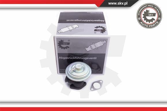 EGR Valve 14SKV203