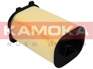 Air Filter F242501