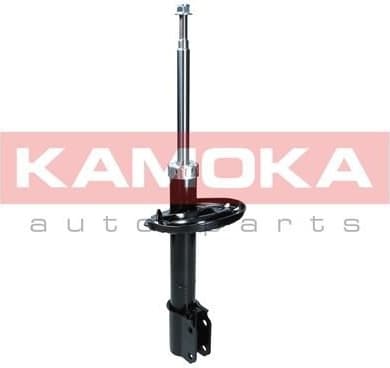 Shock Absorber 2000103