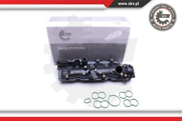 Intake Manifold Module 49SKV024