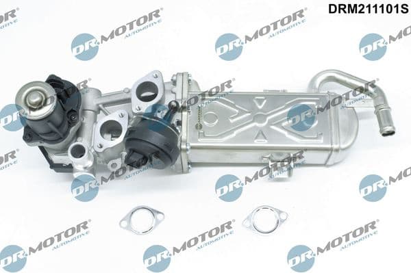 EGR Valve DRM211101S