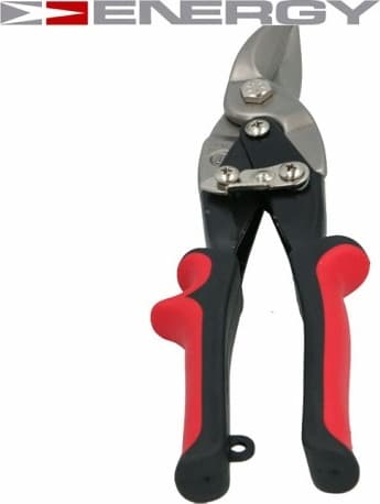 Automobilis: FORD C-MAX II (DXA/CB7, DXA/CEU) 2.0 Energi 103kW from 201501