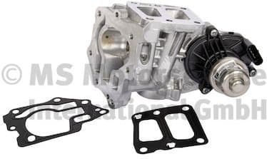 EGR Valve 7.06036.15.0
