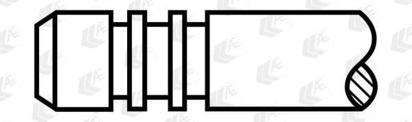 Intake Valve V80025