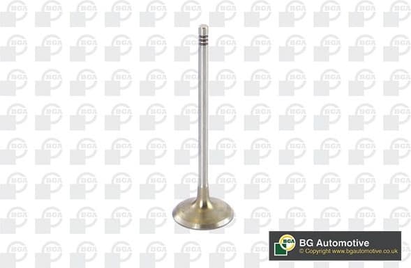 Intake Valve V090104