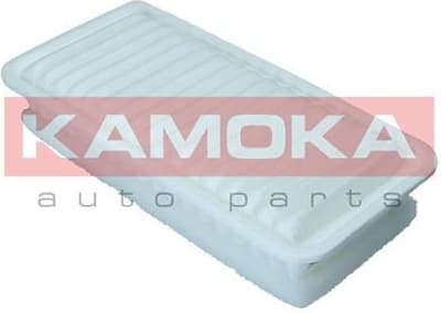 Air Filter F248601