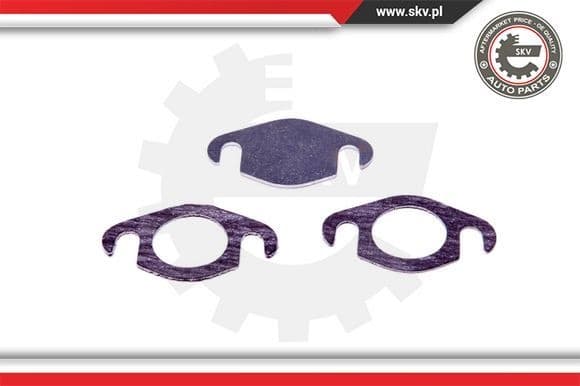 Repair Set, EGR valve 14SKV500 - image 2