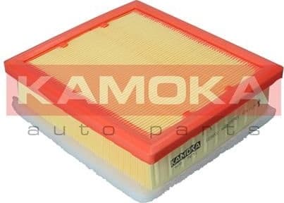 Air Filter F238001
