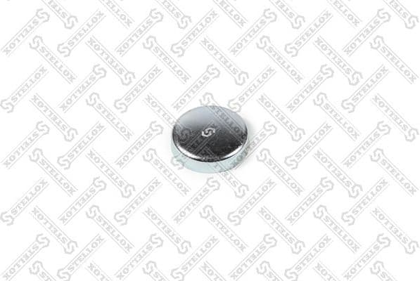 Frost Plug 75-52755-SX