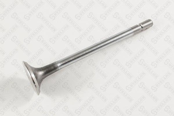 Exhaust Valve 01-24366-SX