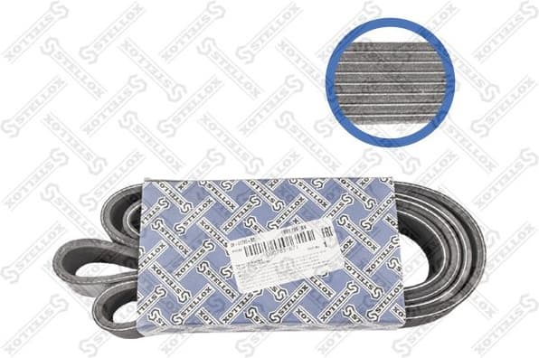 V-ribbed Belt 08-01795-SX