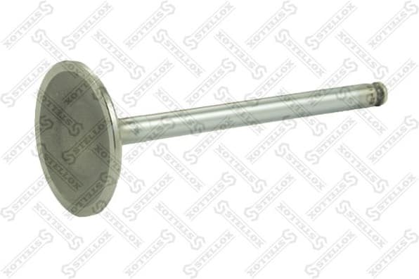 Intake Valve 01-23101-SX