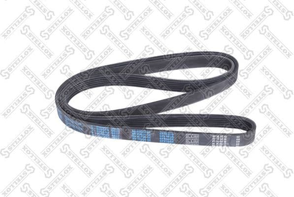 V-ribbed Belt 06-01698-SX