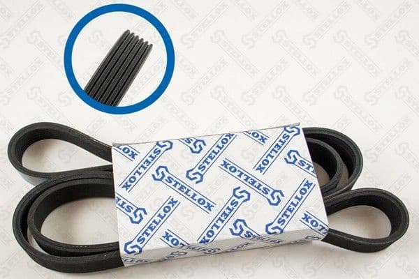 V-ribbed Belt 06-01685-SX