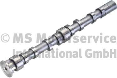 Camshaft 50007019
