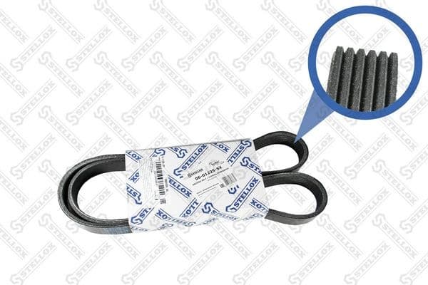 V-ribbed Belt 06-01225-SX