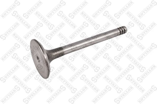 Intake Valve 01-23150-SX