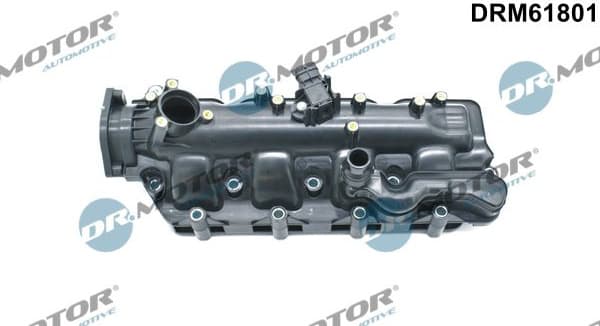 Intake Manifold Module DRM61801