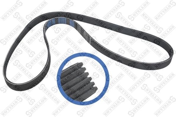 V-ribbed Belt 06-01370-SX