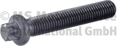 Connecting Rod Bolt 50009201