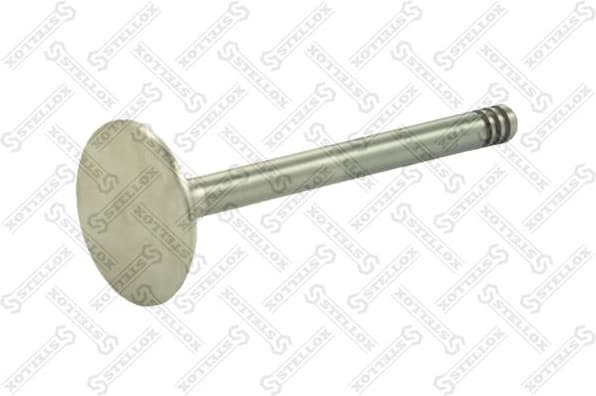 Intake Valve 01-23119-SX