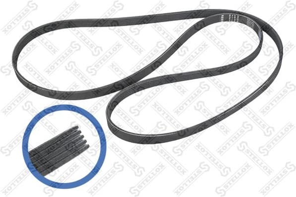 V-ribbed Belt 05-01885-SX