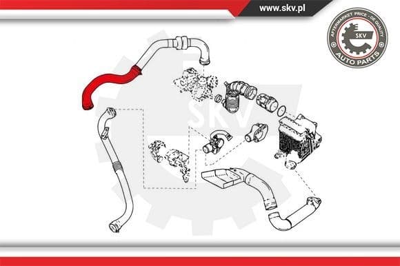 Charge Air Hose 24SKV843 - image 4