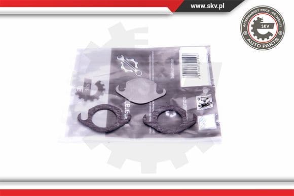 Repair Set, EGR valve 14SKV506