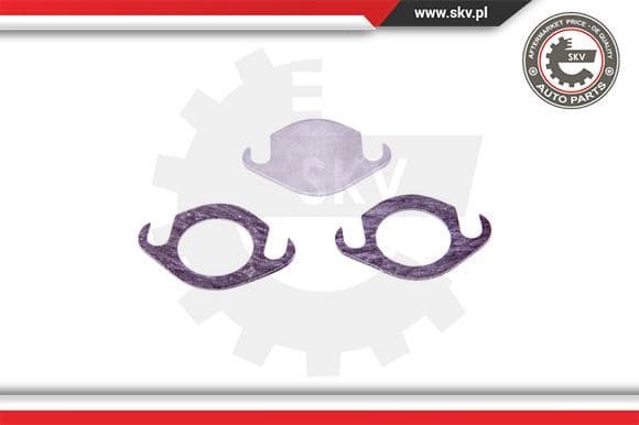 Repair Set, EGR valve 14SKV506 - image 2