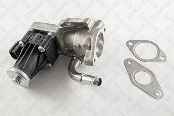 EGR Valve 01-25055-SX