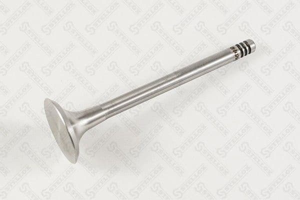 Exhaust Valve 01-24376-SX