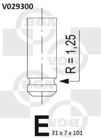 Exhaust Valve V029300