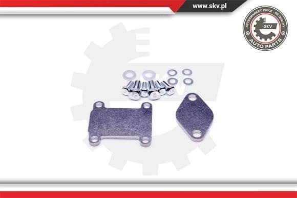 Repair Set, EGR valve 14SKV502 - image 2