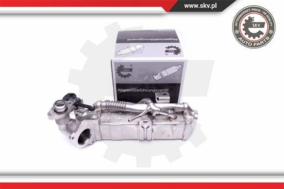 Cooler, exhaust gas recirculation 14SKV228