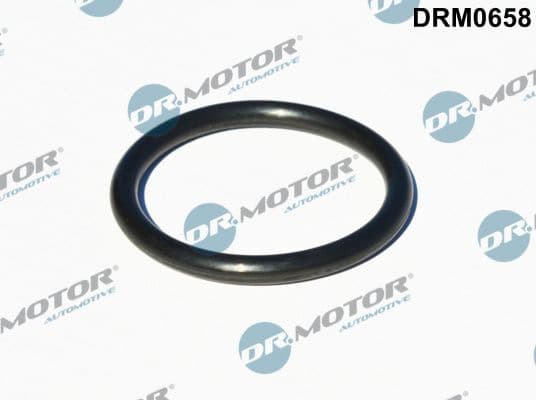 Seal, turbine inlet (charger) DRM0658