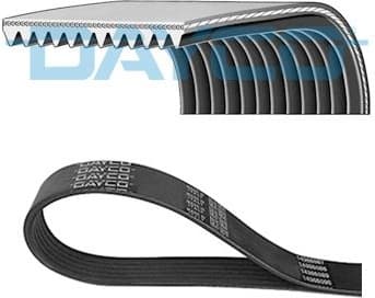 V-ribbed Belt 12PK1515HD