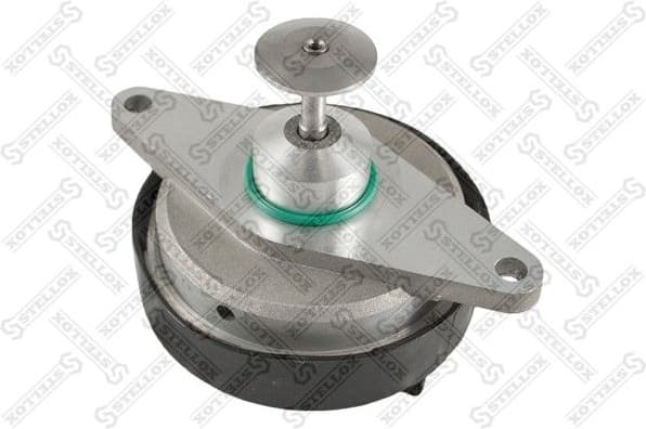 EGR Valve 01-25005-SX