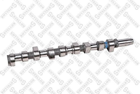 Camshaft 10-10081-SX